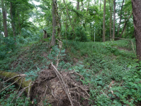 Reste einer Kuruzzenschanze in Dedenitz